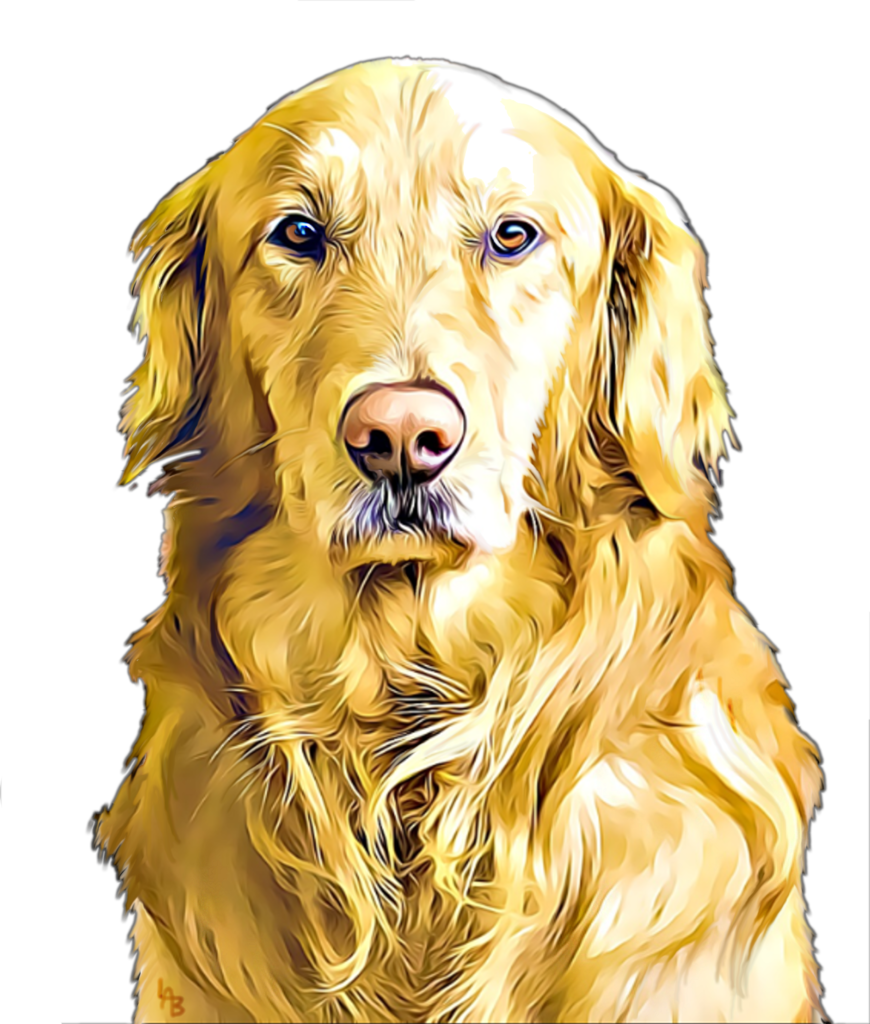 original drawing by Lori Anne Brown